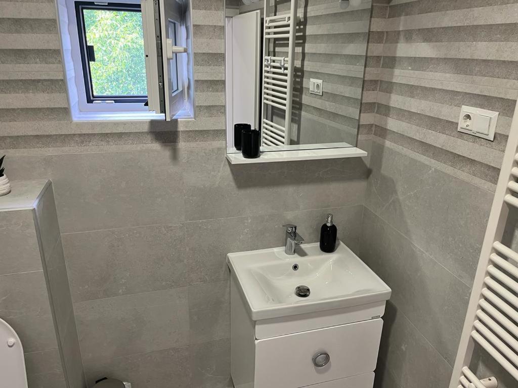 Sabina Apartaments Sfântu Gheorghe Bagian luar foto