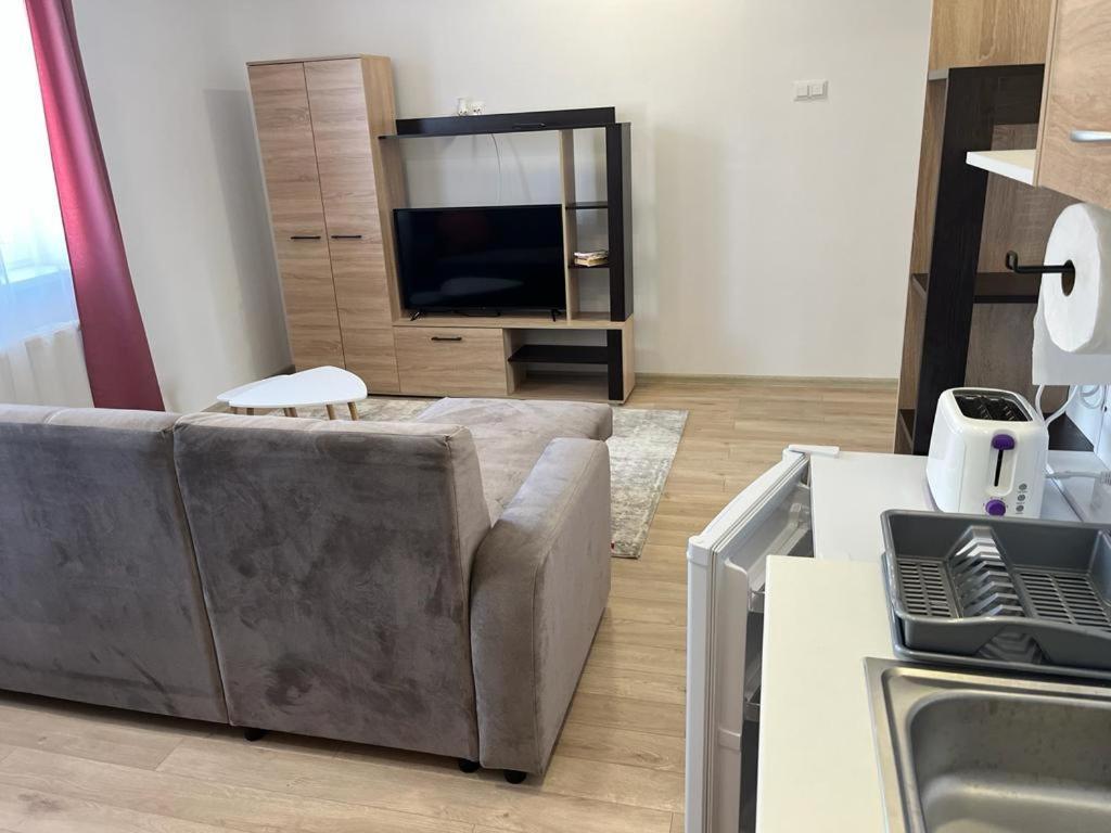 Sabina Apartaments Sfântu Gheorghe Bagian luar foto
