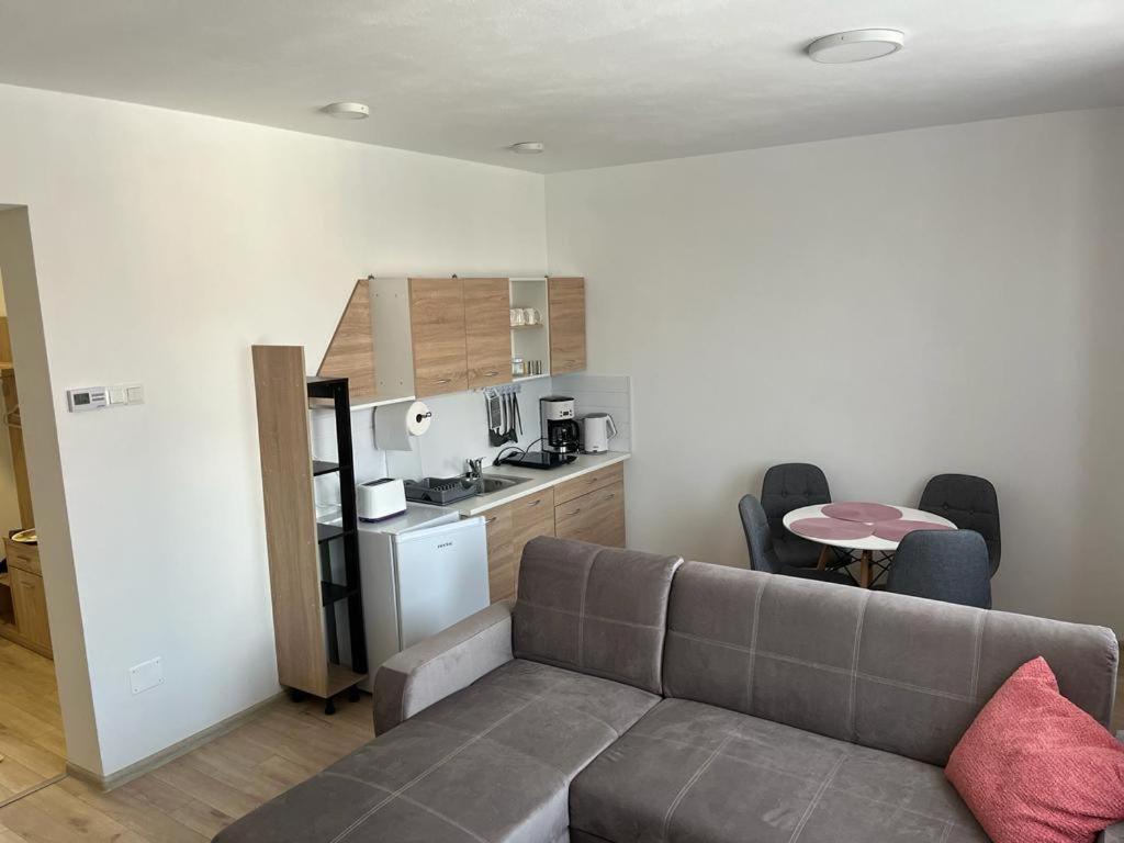 Sabina Apartaments Sfântu Gheorghe Bagian luar foto