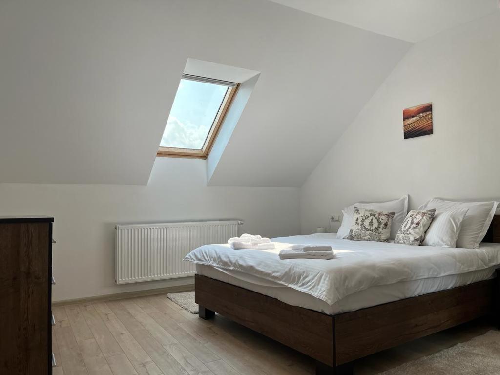 Sabina Apartaments Sfântu Gheorghe Bagian luar foto