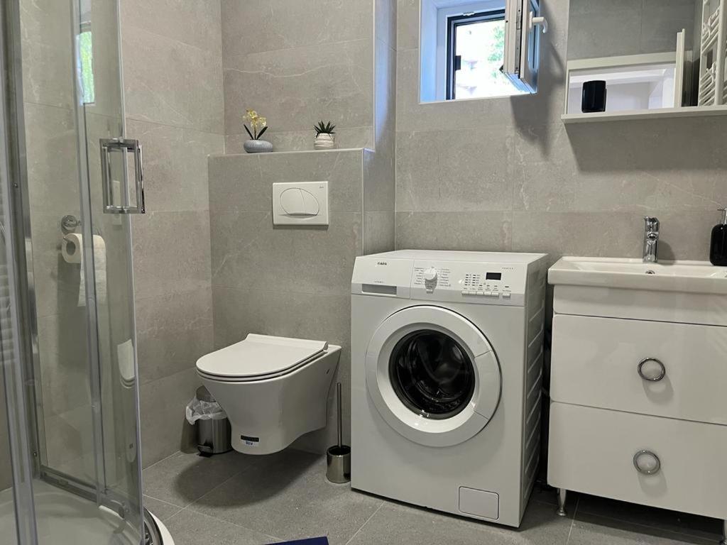 Sabina Apartaments Sfântu Gheorghe Bagian luar foto