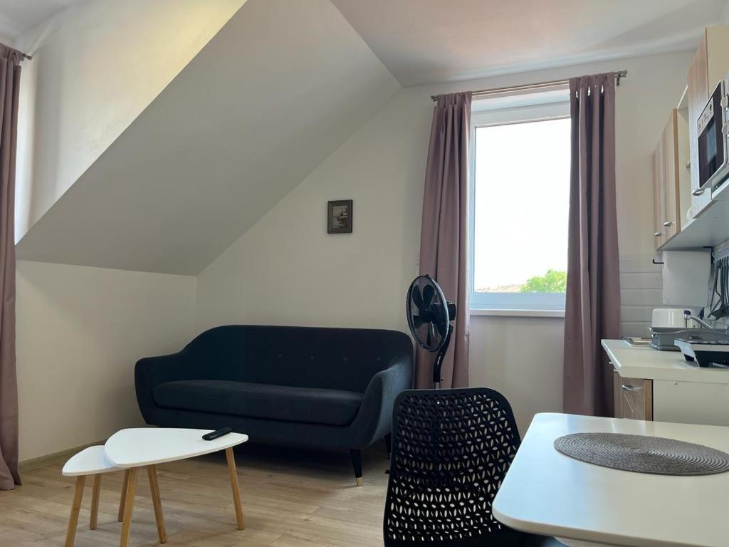 Sabina Apartaments Sfântu Gheorghe Bagian luar foto