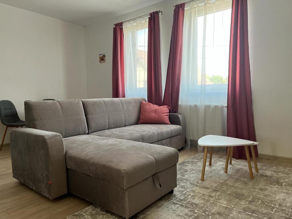 Sabina Apartaments Sfântu Gheorghe Bagian luar foto