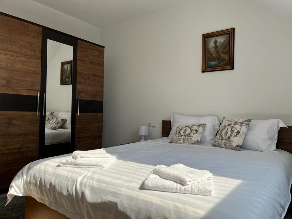 Sabina Apartaments Sfântu Gheorghe Bagian luar foto